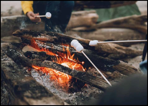 Bonfire Pit